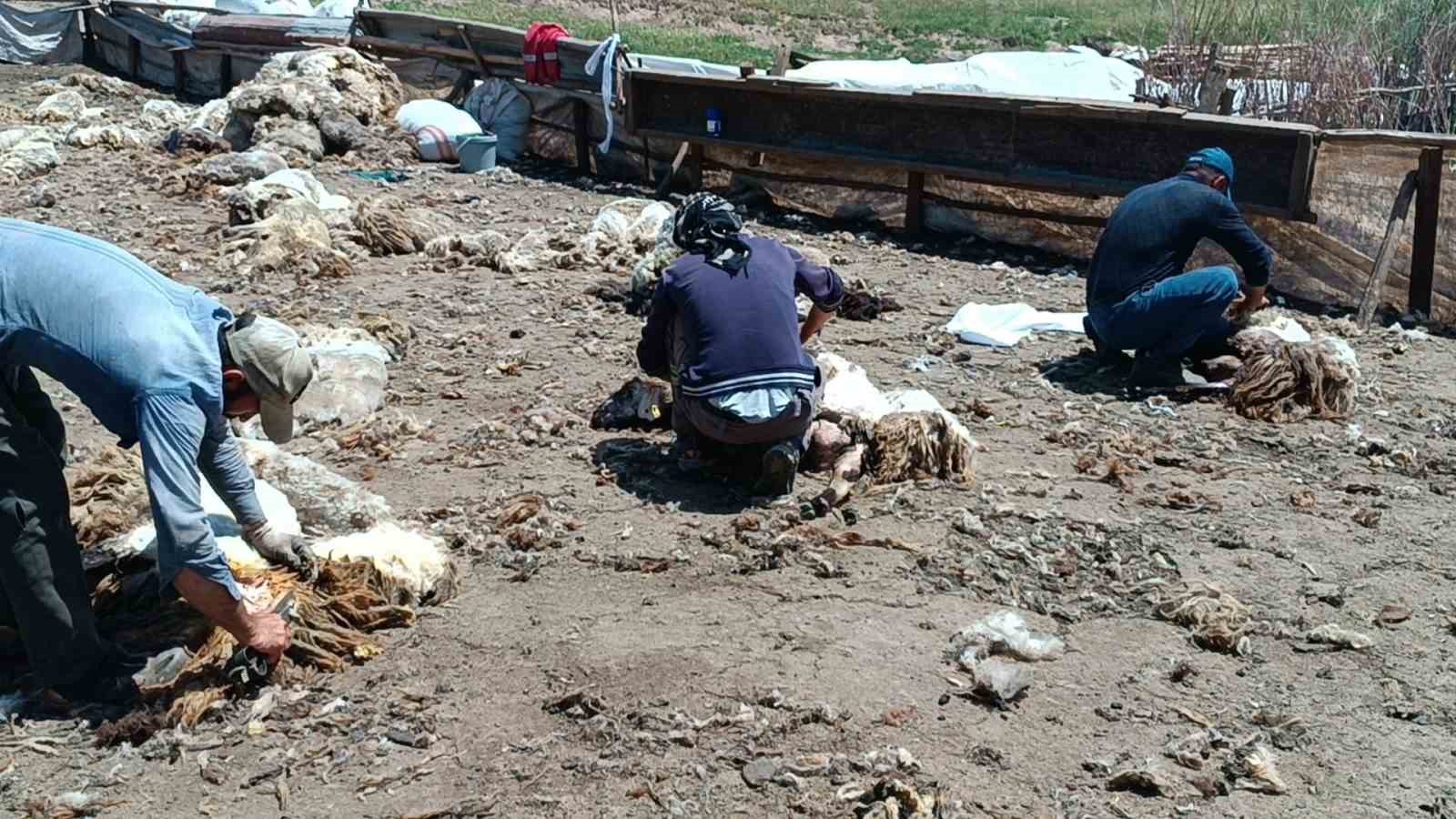 Batman’da yaylada kalan göçerler peynir üretiyor