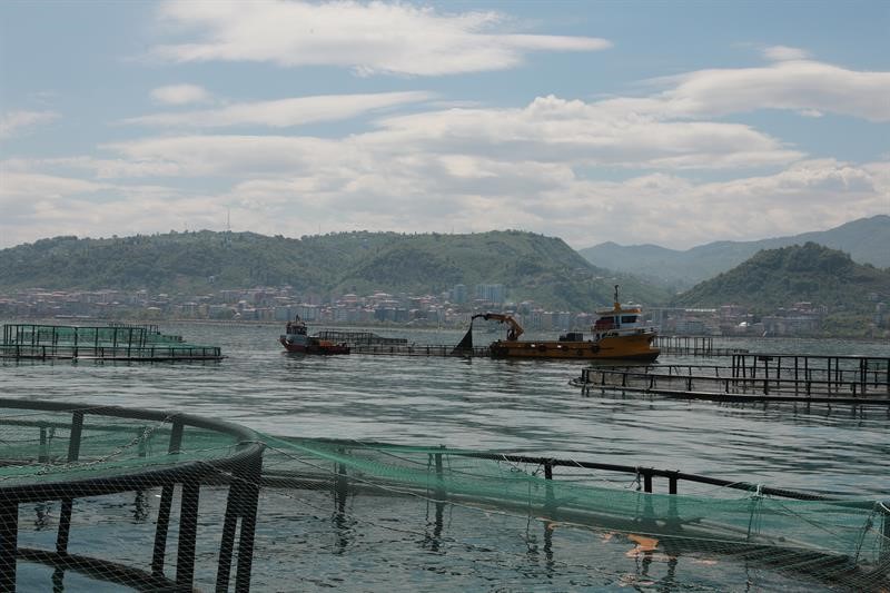 Trabzon’da denizdeki balık kafeslerine denetim
