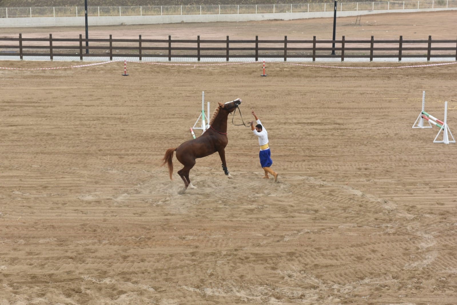 &Ccedil;orum&rsquo;da Uluslararası At&ccedil;ılık Festivali başlıyor
