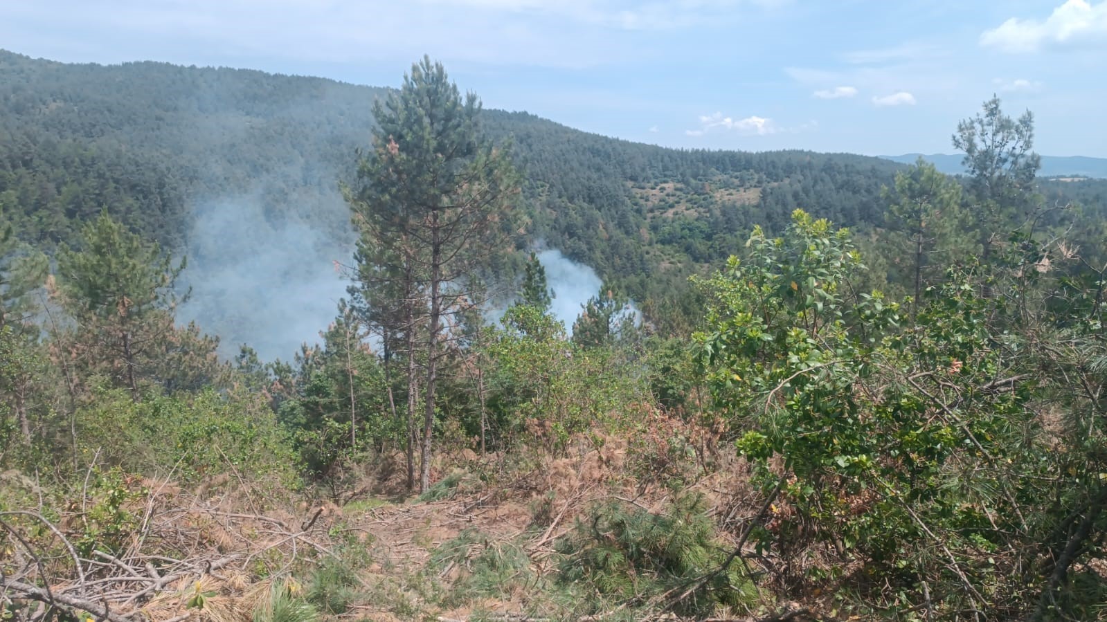 Çanakkale’de orman yangını kontrol altına alındı