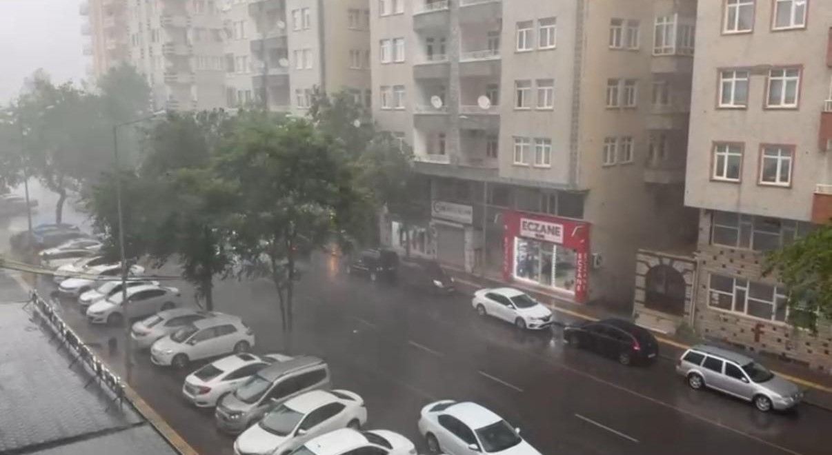 Diyarbakır’da sağanak etkili oldu, lüks otomobil devrilen ağacın altında kaldı