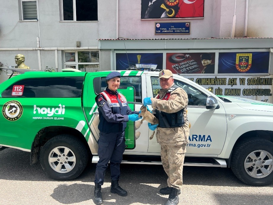 Yaralı tavşan jandarmanın şefkat eliyle doğaya döndü
