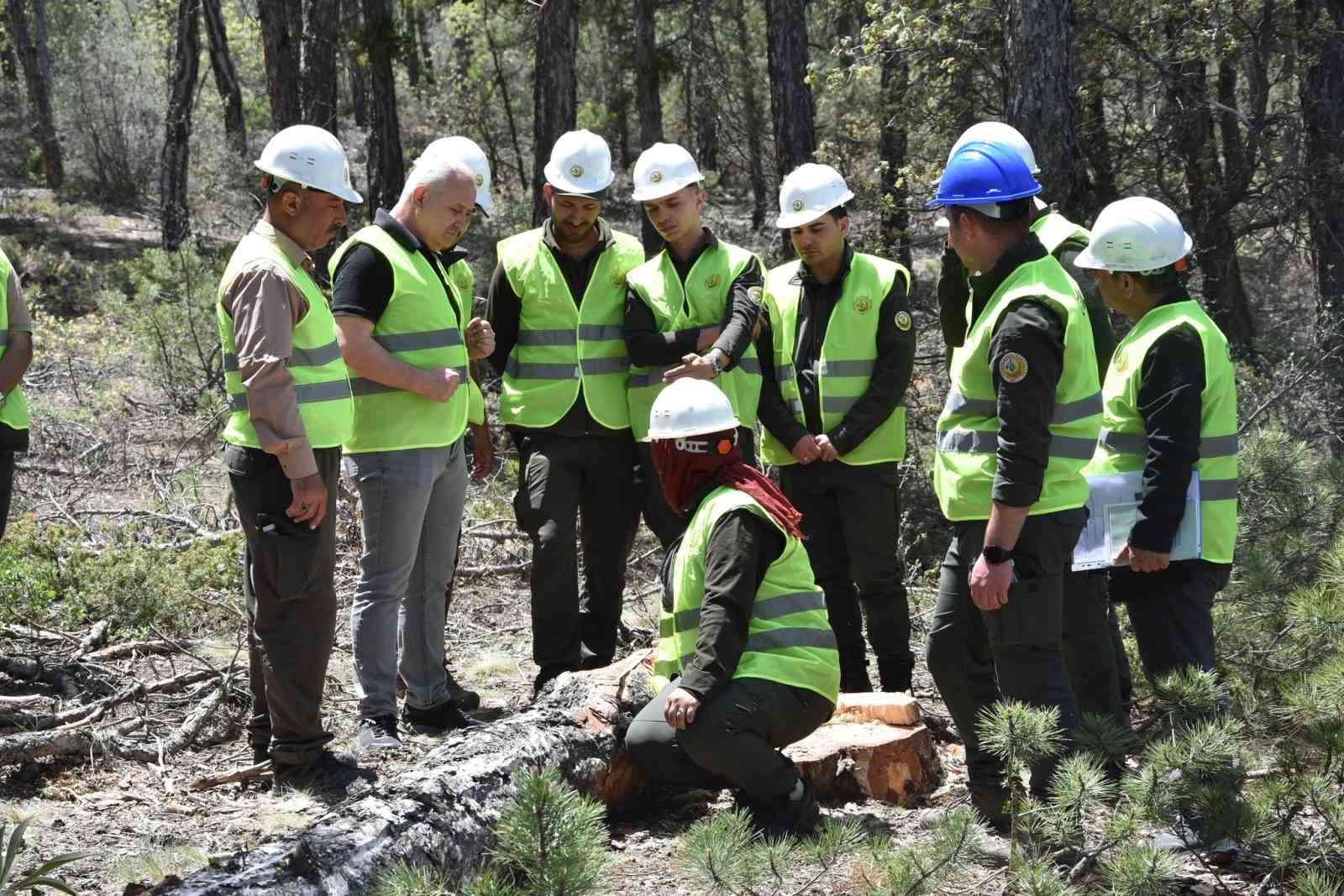 Beyşehir&rsquo;de ormancılar ağa&ccedil; kesim tekniklerini &ouml;ğrendi
