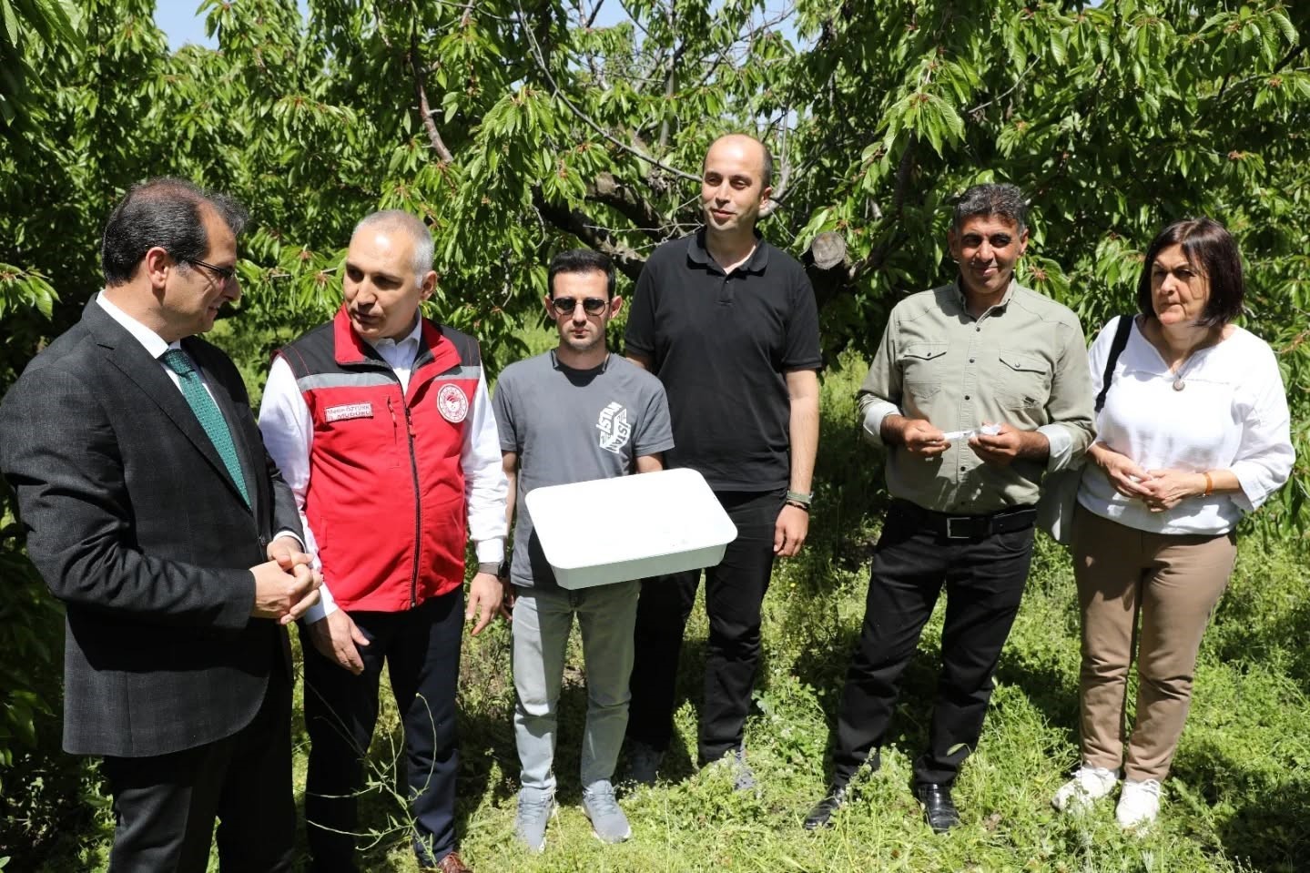 Salihli’de 3 bin ‘Samuray Arıcığı’ doğaya salındı