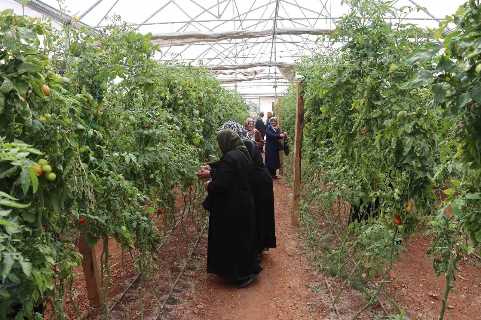 Şanlıurfa’da emekli kadınlara "süs bitkisi yetiştiriciliği eğitimi"