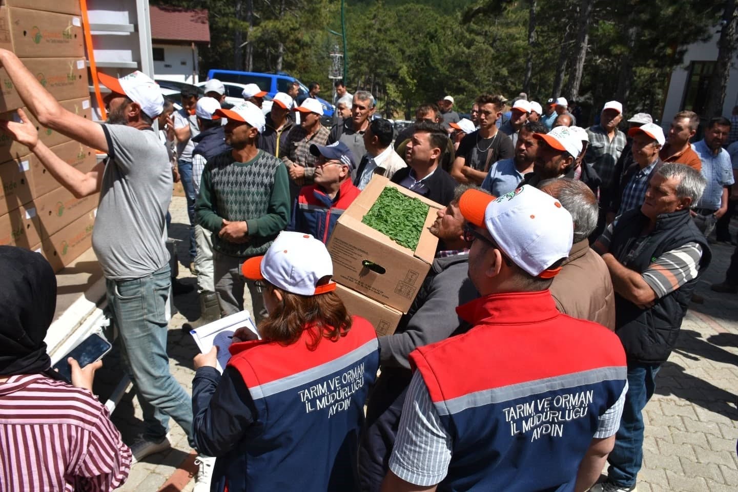 Kuyucak&rsquo;ta 220 bin domates fidesi dağıtıldı
