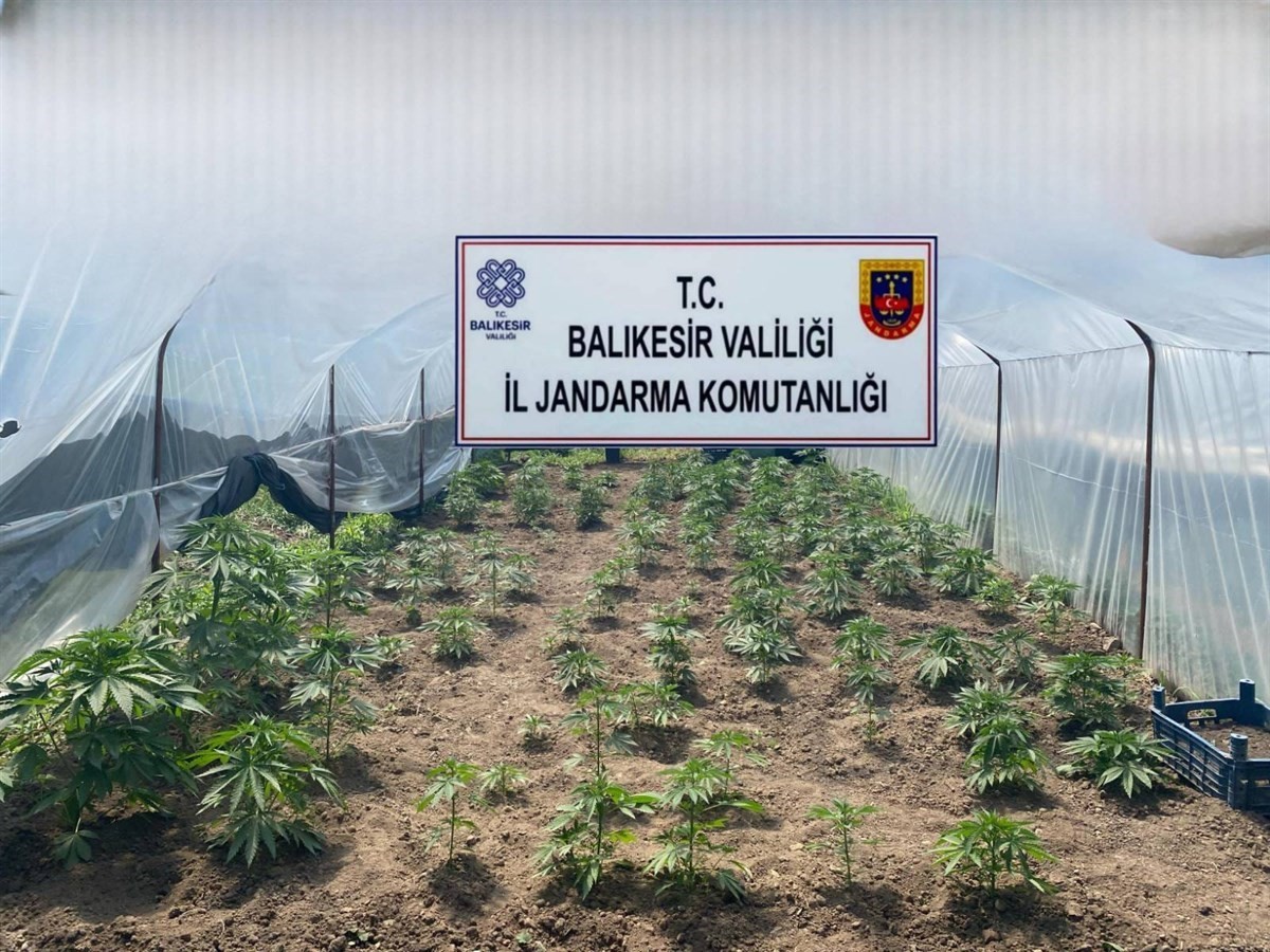 Balıkesir’de jandarmadan organize suçlara karşı geniş çaplı operasyon