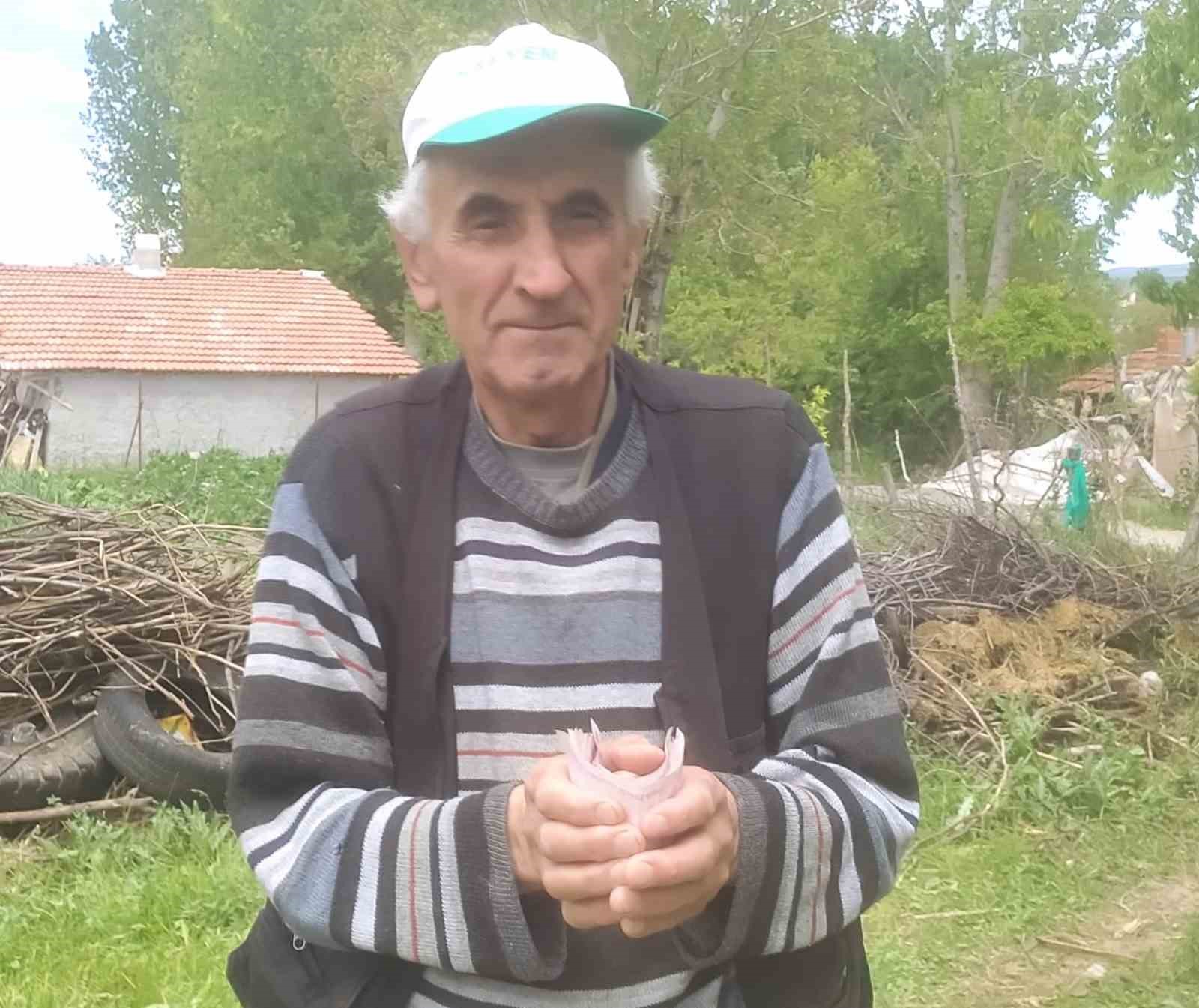 Hisarcık’ta emekli işçiden "İnsanlık Ölmemiş" dedirten davranış: Bulduğu bir tomar parayı jandarmaya teslim etti