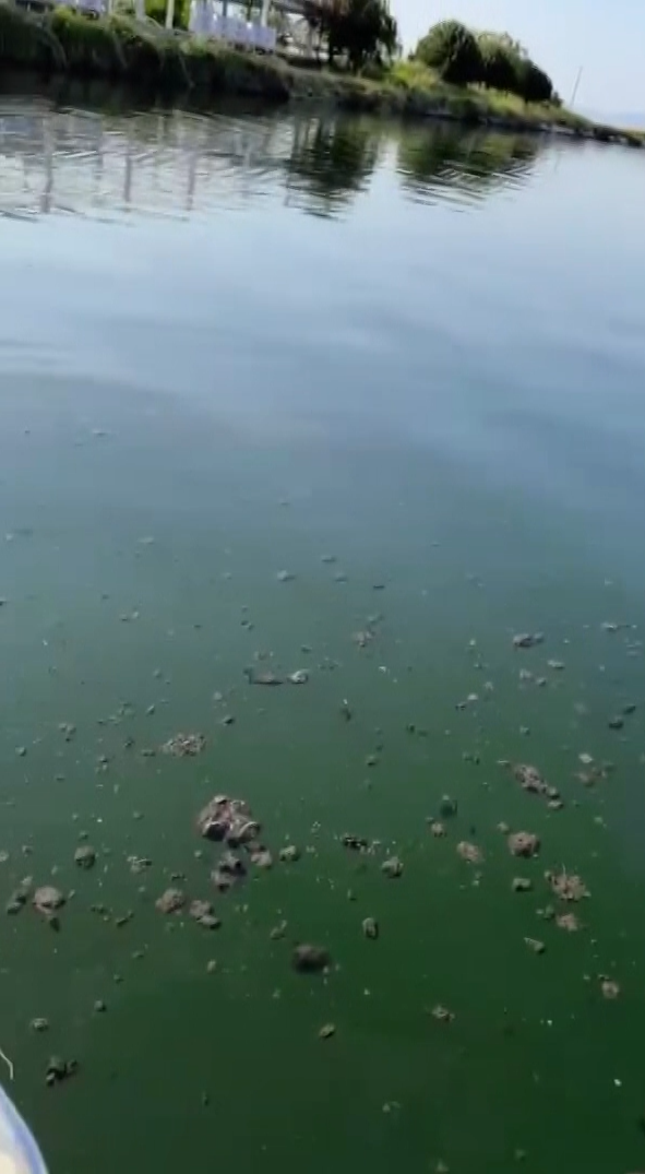 Yalova’da Dereağzı mevkisinde kanalizasyon suyu denize aktı
