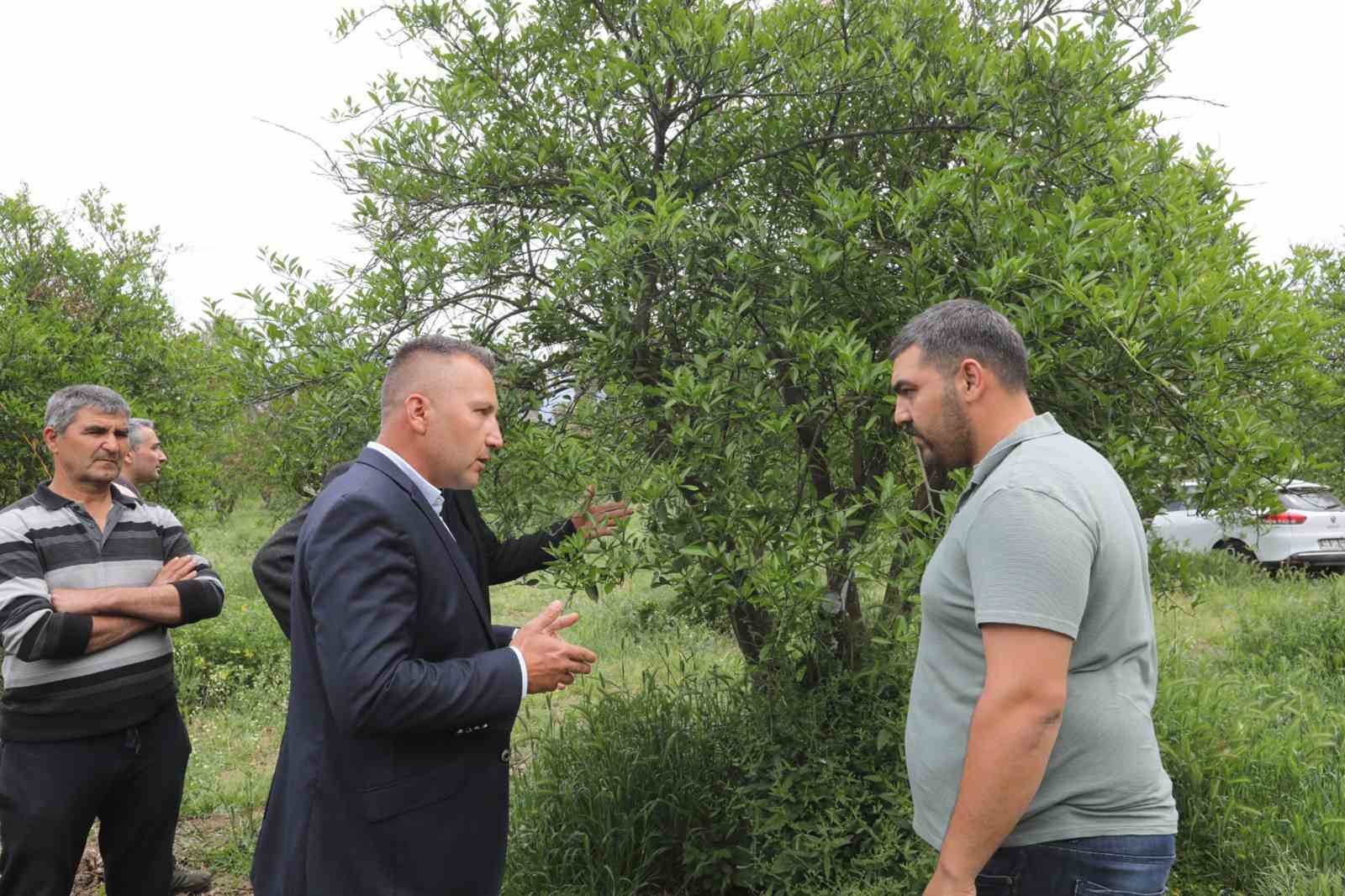 Zirai donun yaraları Büyükşehir’in desteğiyle sarıldı