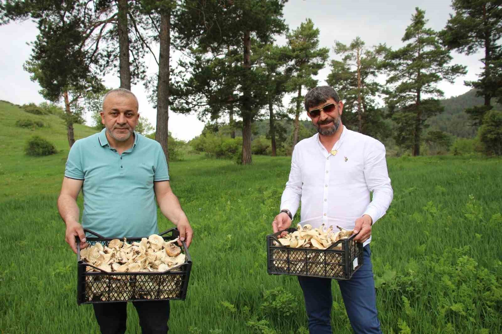 Erzurum’da vatandaşlara "zehirli mantar" uyarısı