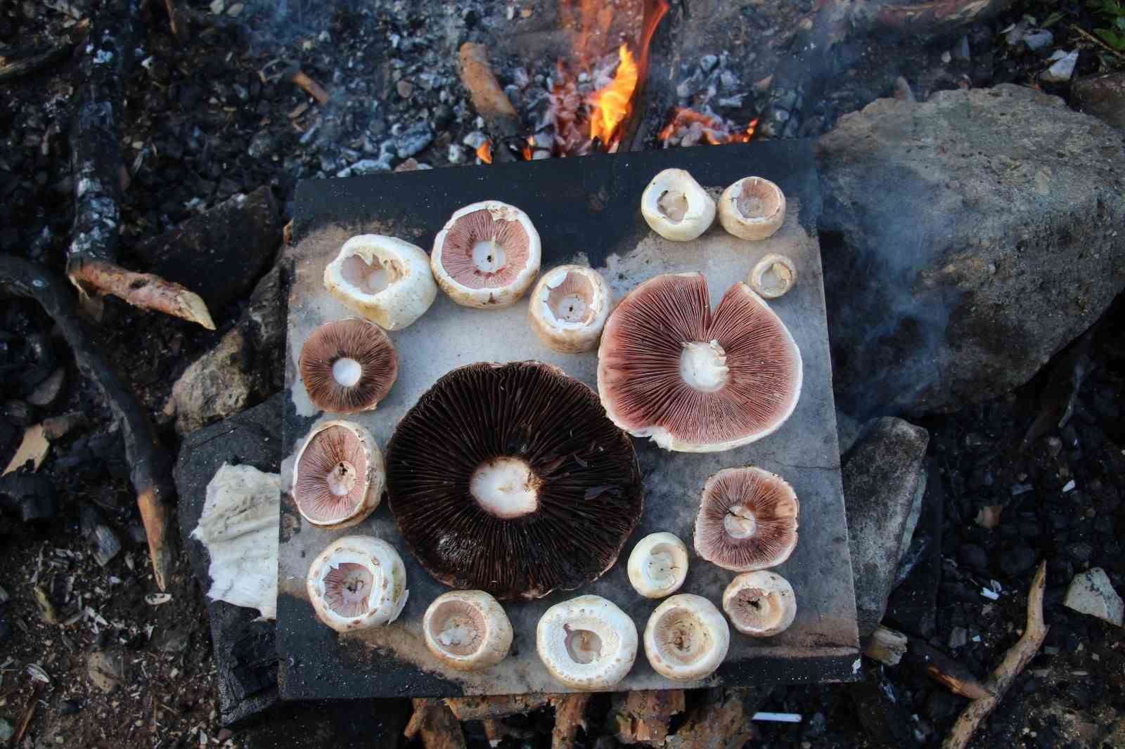 Erzurum&rsquo;da vatandaşlara "zehirli mantar" uyarısı
