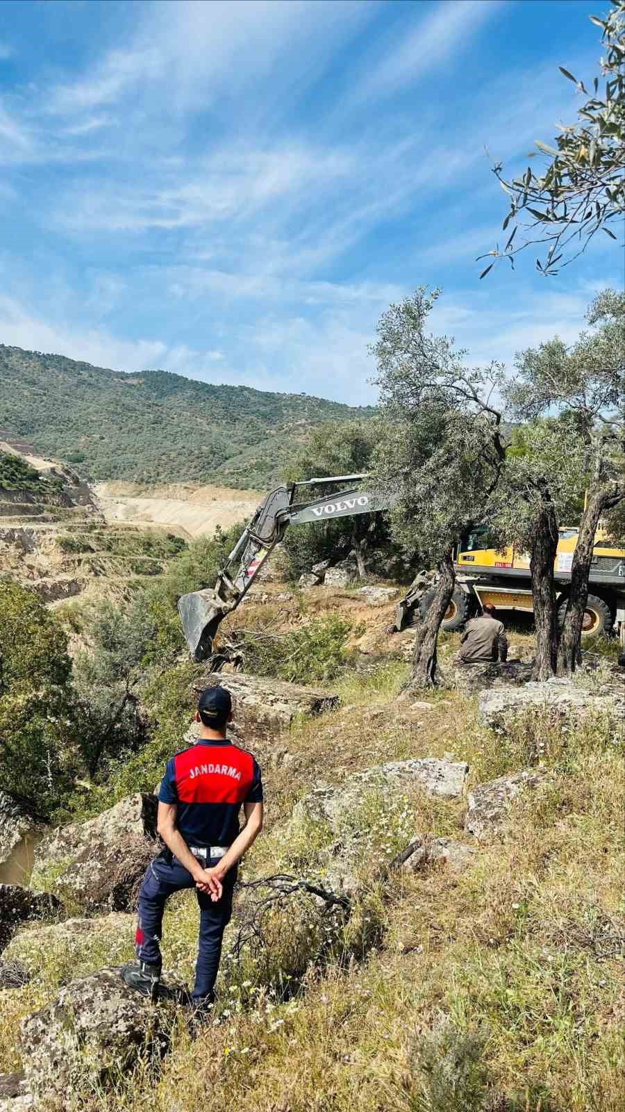 Kaybolan inekler, uçurumda bulundu
