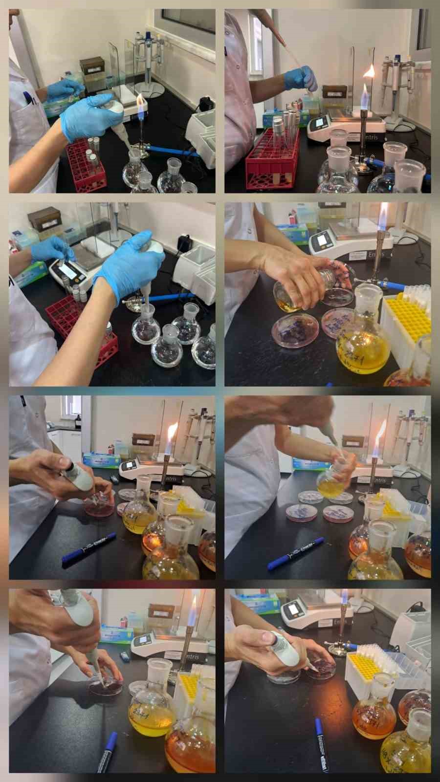 Karya Farma HBX rekor tazeledi
