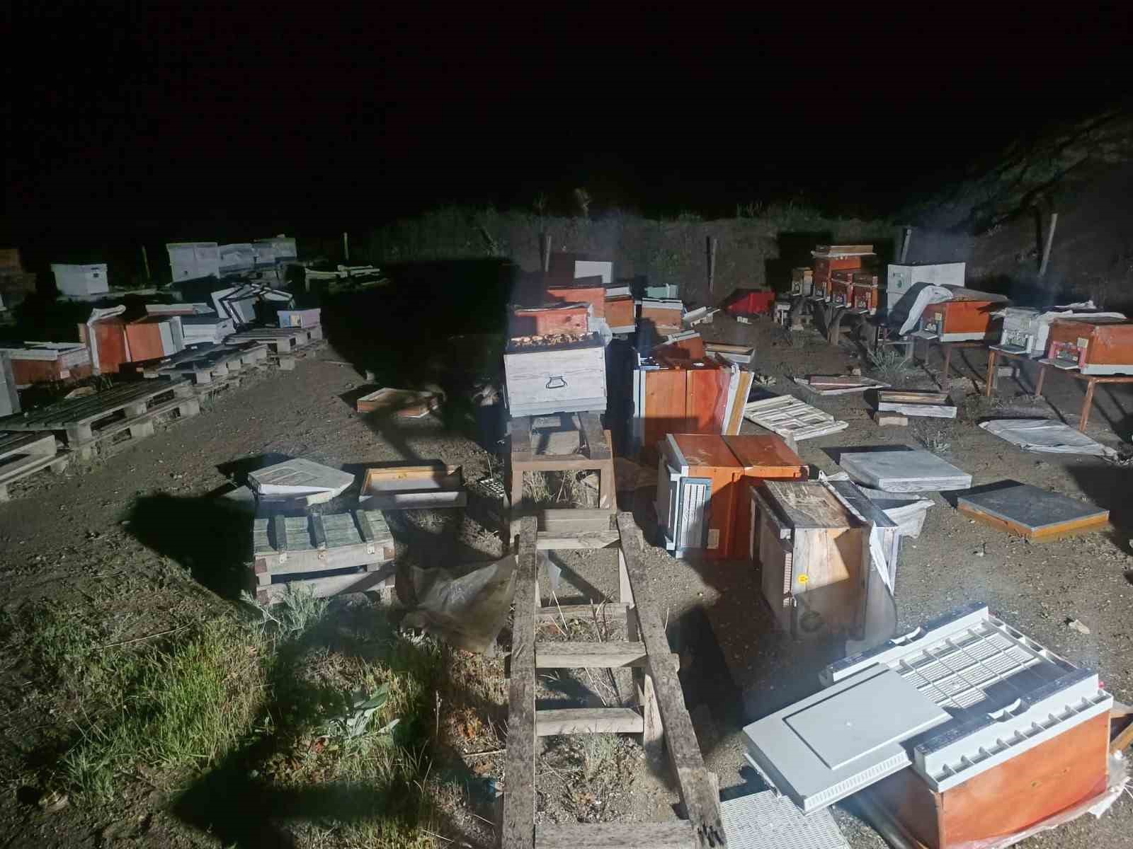 Arı kovanları cayır cayır yandı