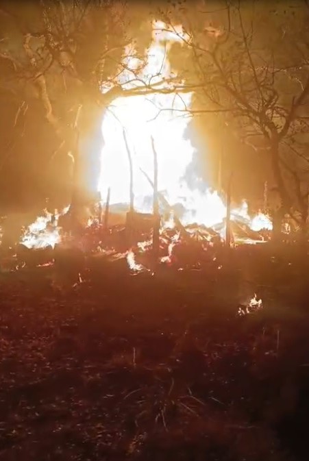 Arı kovanları cayır cayır yandı