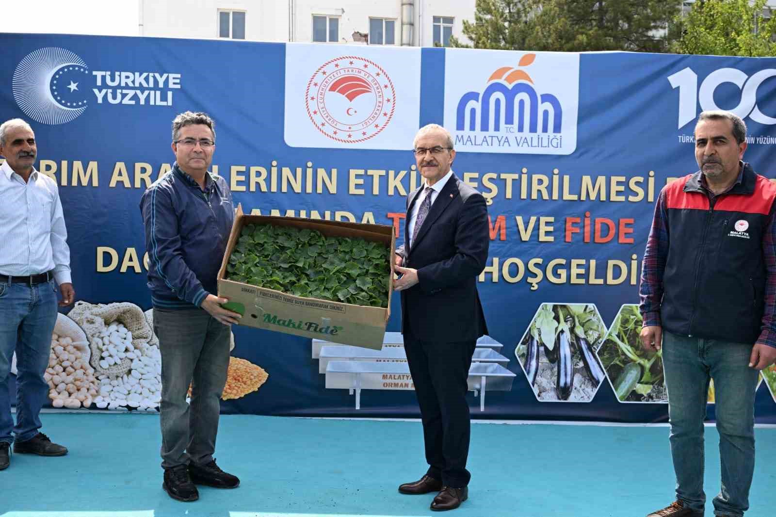 Vali Yavuz: 