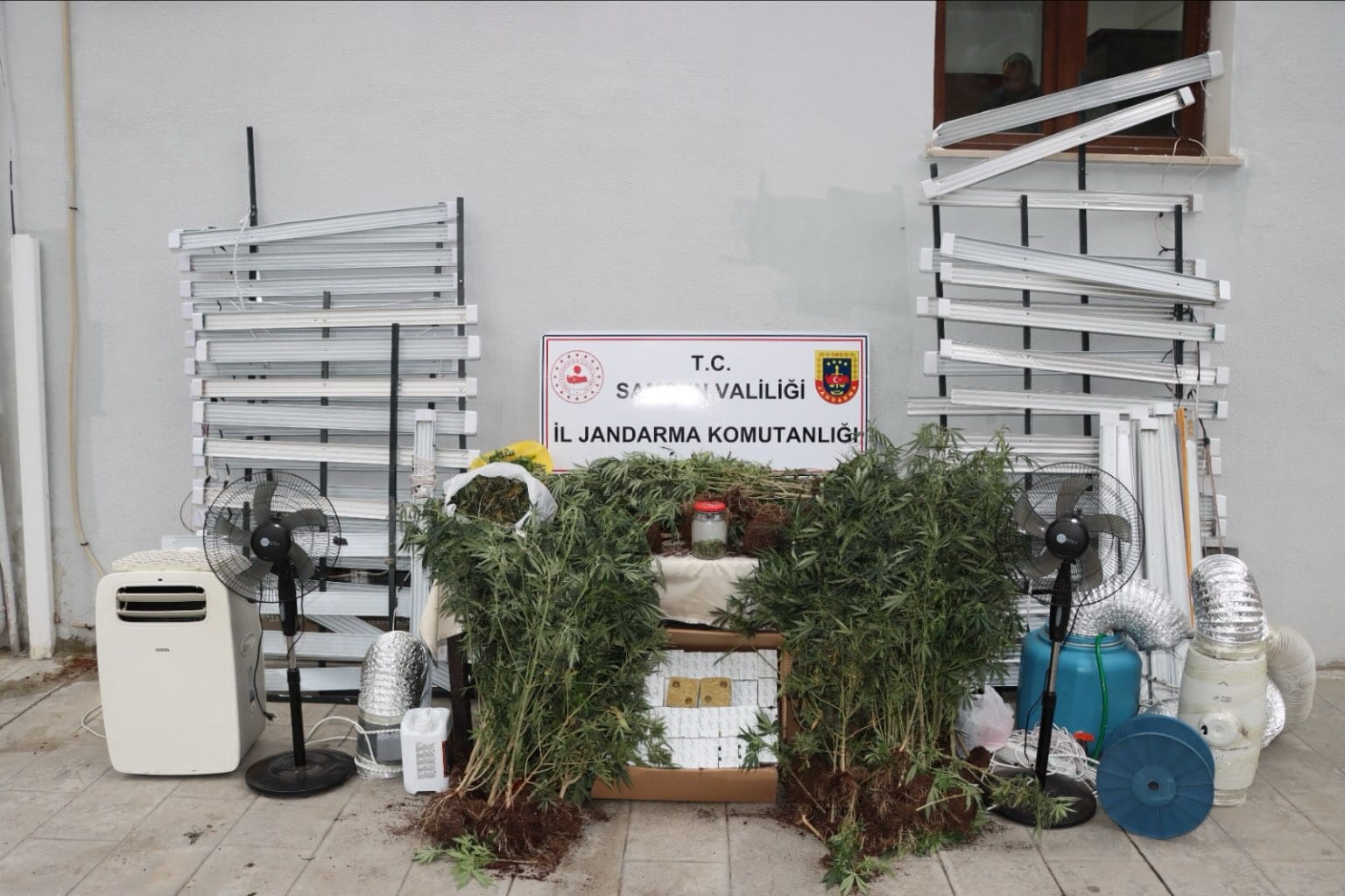 İnternetten izleyip 5. kattaki evini uyuşturucu tarlasına çevirdi