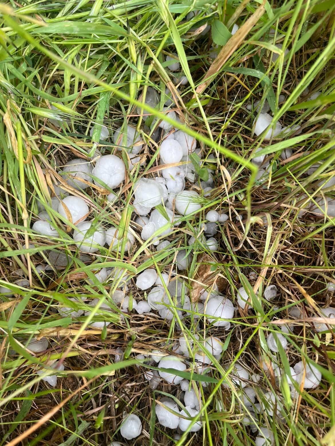 Diyarbakır&rsquo;da sağanak yağış nedeniyle biriken su halk otob&uuml;s&uuml;ne taştı
