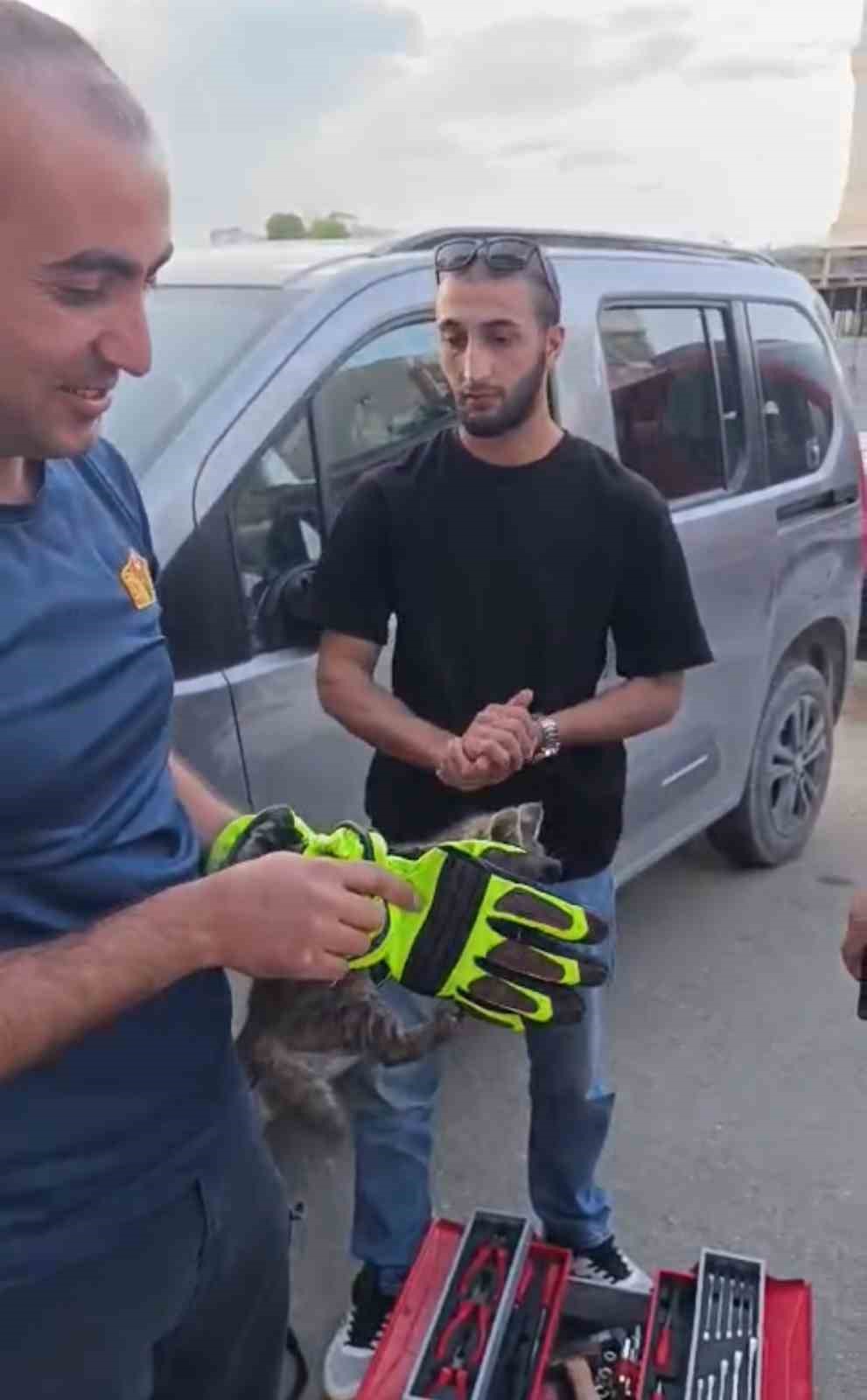 Iğdır’da aracın motor kısmında sıkışan yavru kedi kurtarıldı