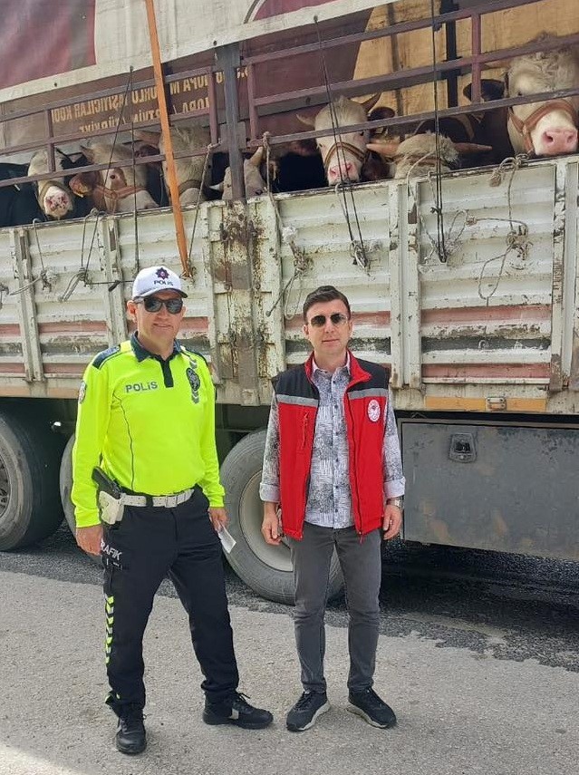 Salihli&rsquo;de kurbanlık nakli yapan ara&ccedil;lara sıkı denetim
