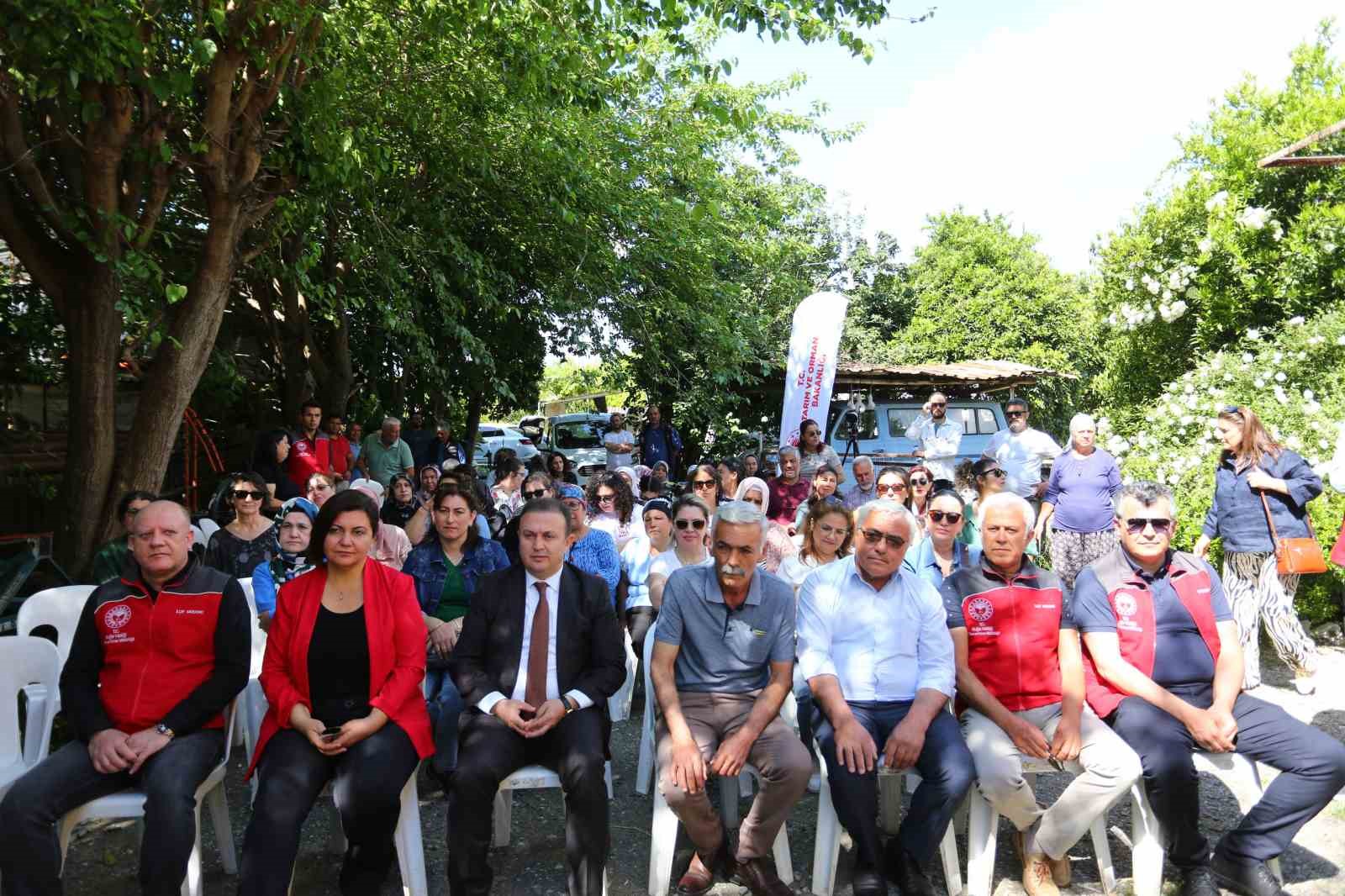 K&ouml;yceğizli &uuml;reticilere yerli Susam tohumu dağıtıldı
