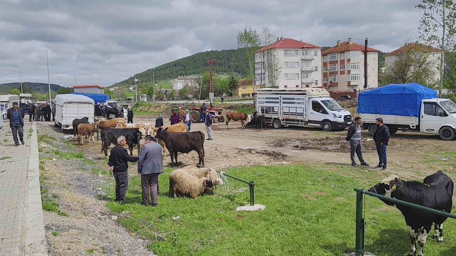 Kurbanlar pazara girdi
