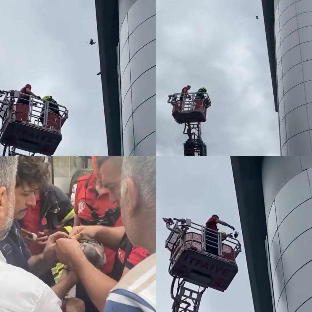 Mersin’de çatıda mahsur kalan güvercini itfaiye kurtardı