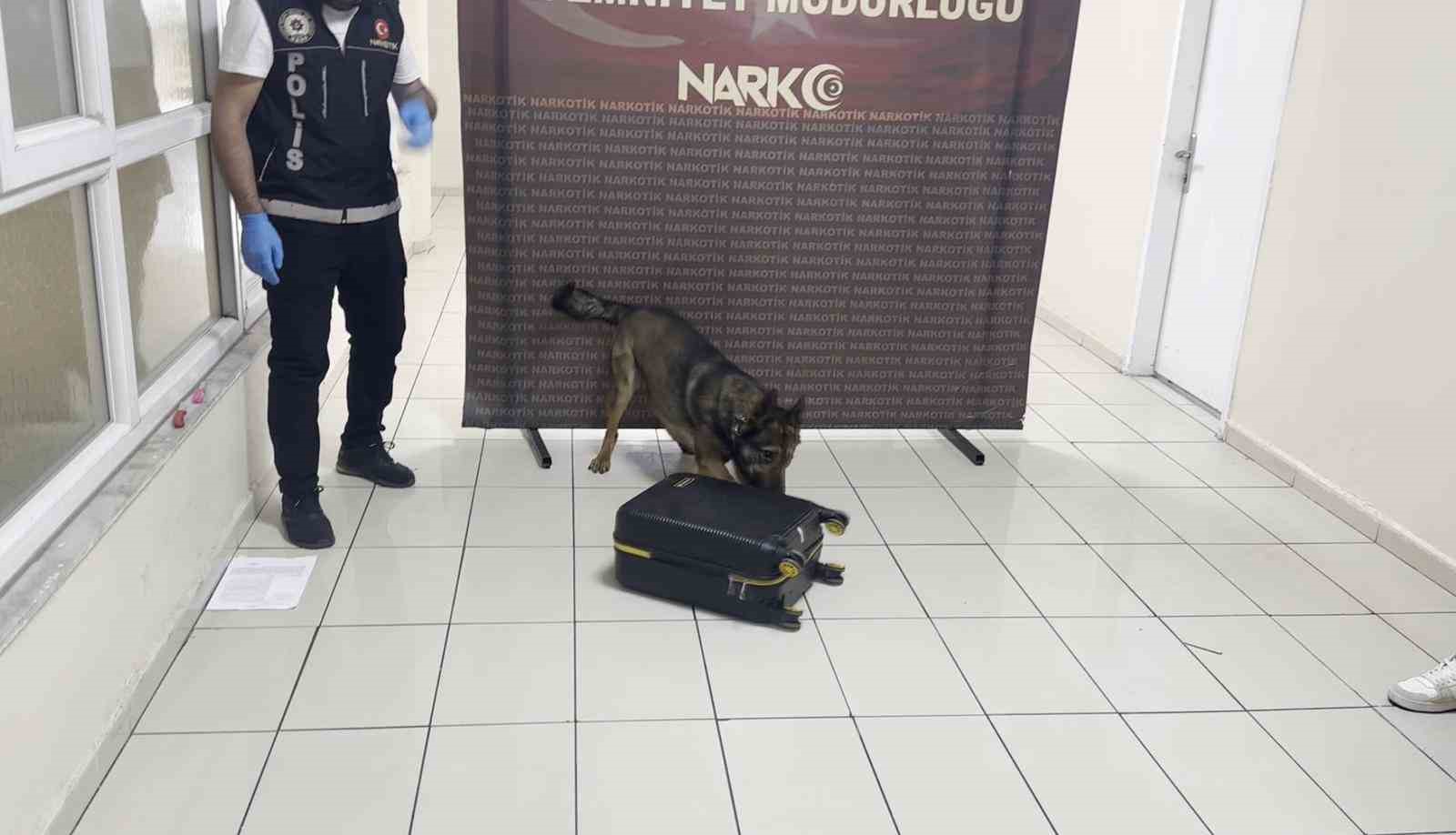 Batman’da uyuşturucu dolu valiz "Hektor"a takıldı