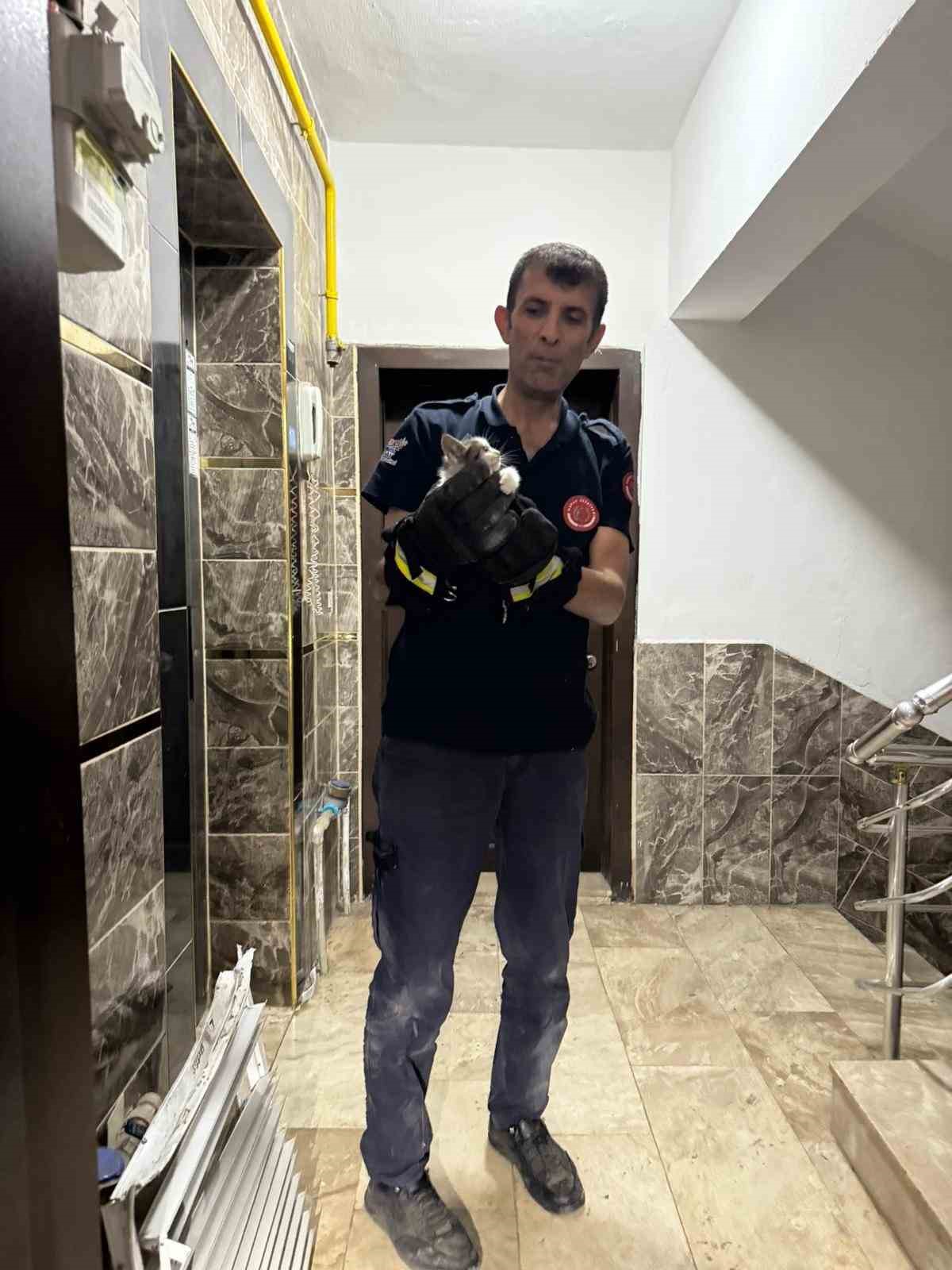 Bina boşluğuna düşen yavru kedi itfaiye ekiplerince kurtarıldı