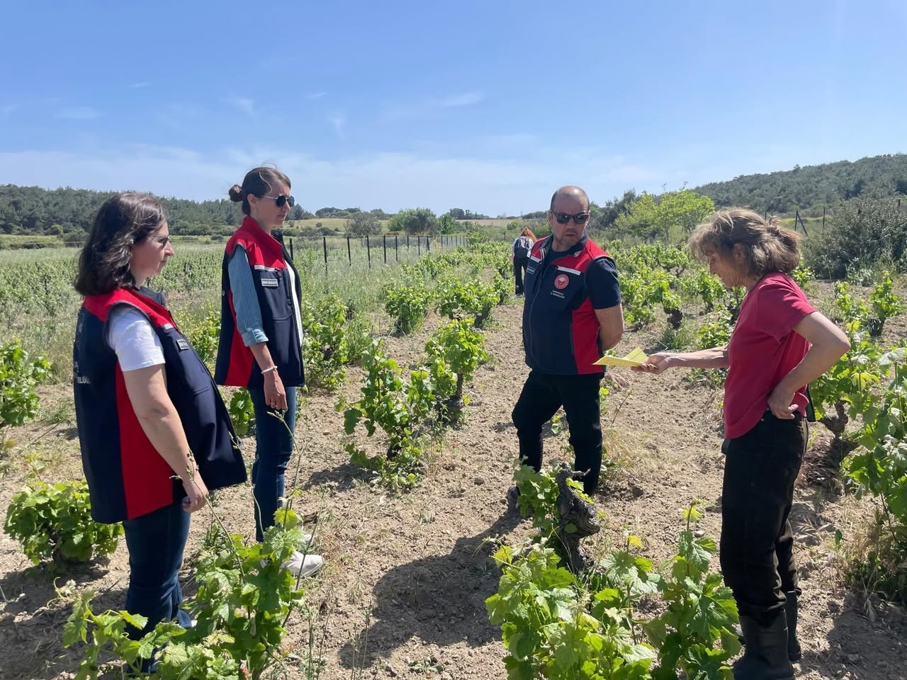 Bozcaada’da organik tarım dentimleri yapıldı
