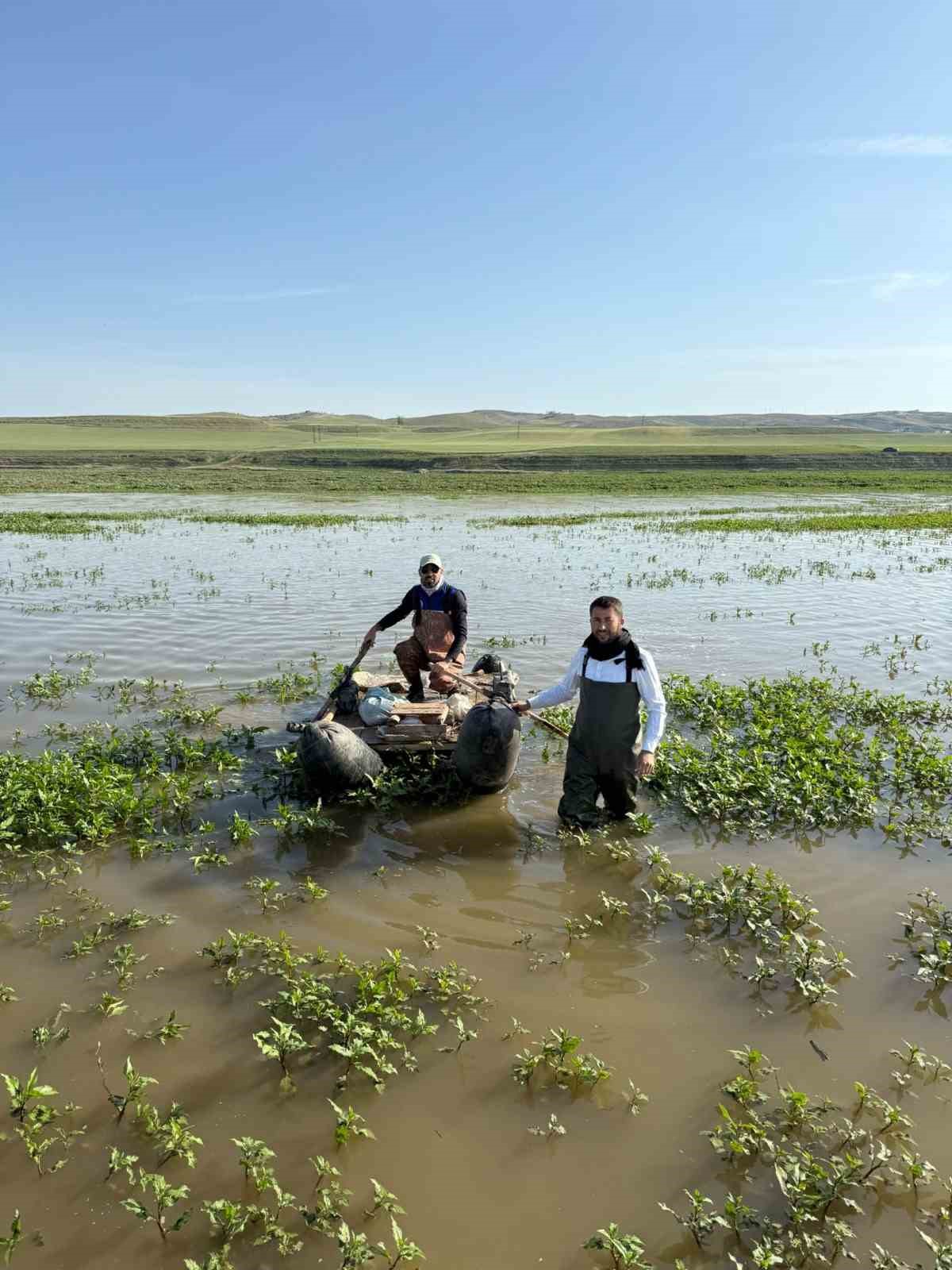 Ka&ccedil;ak balık&ccedil;ılar jandarmanın ağına takıldı: 83 bin TL ceza kesildi

