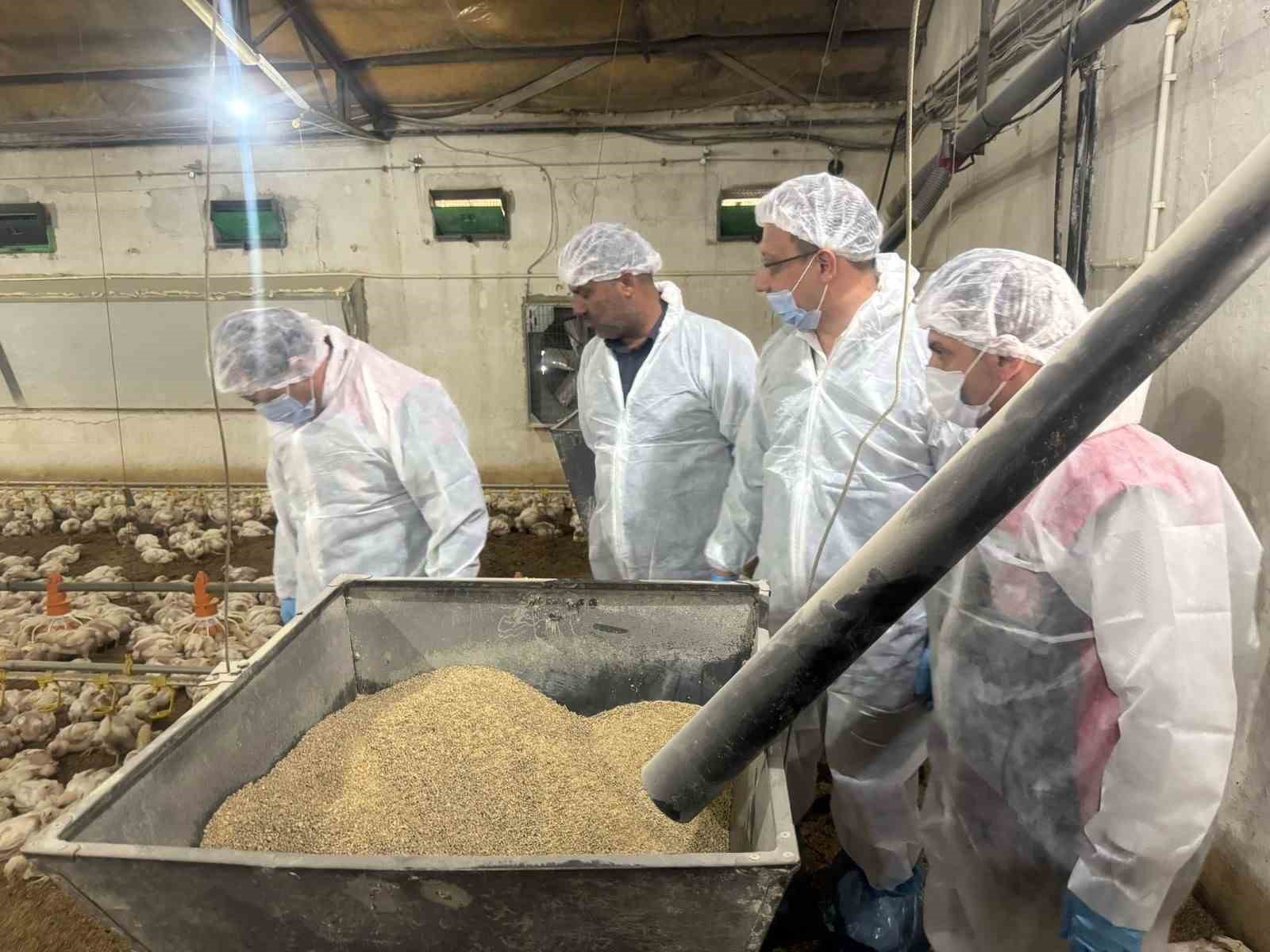 Mart ayında yıllık tavuk yumurtası üretimi yüzde 8,8 azaldı