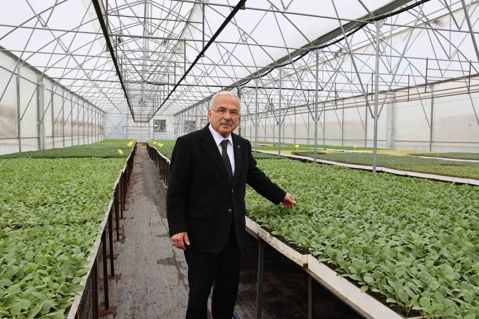 Başkan Güler: "5 yılda kendi ürettiğimiz 4 milyon adet fideyi üreticilerimize dağıttık"