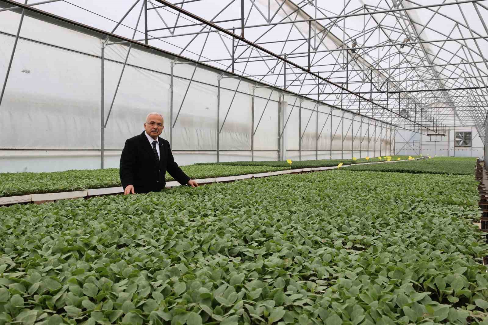 Başkan Güler: "5 yılda kendi ürettiğimiz 4 milyon adet fideyi üreticilerimize dağıttık"
