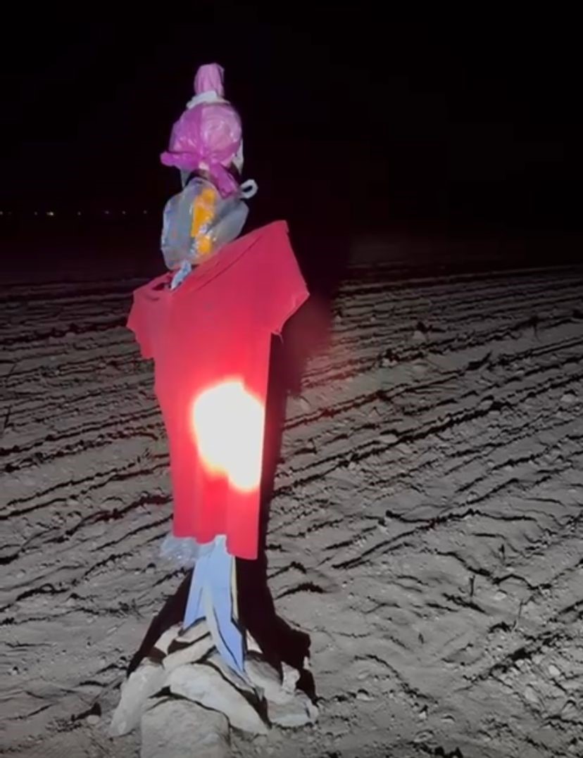 Konya&rsquo;da tarım alanlarında domuz n&ouml;beti
