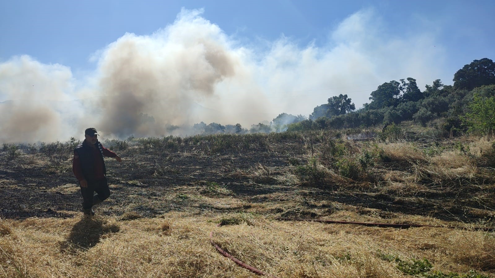 Bodrum&rsquo;da zirai alan yangını
