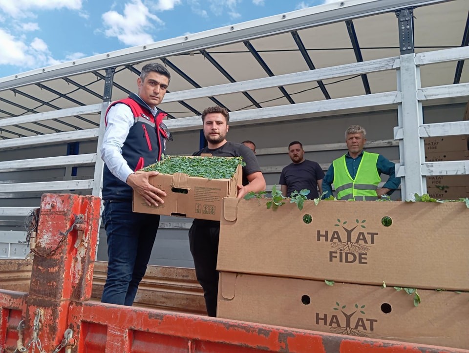 ‘Domates Yetiştiriciliğinin Geliştirilmesi’ projesi sürüyor