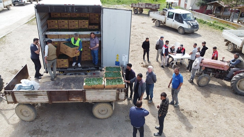 &lsquo;Domates Yetiştiriciliğinin Geliştirilmesi&rsquo; projesi s&uuml;r&uuml;yor

