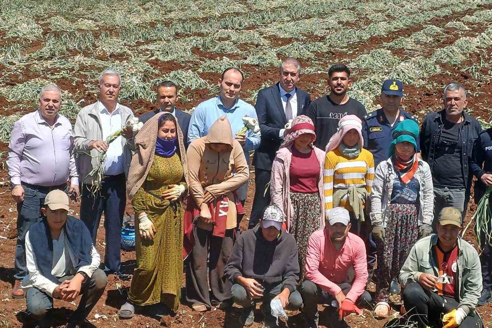 14 Mayıs D&uuml;nya &Ccedil;ift&ccedil;iler G&uuml;n&uuml; sarımsak tarlasında kutlandı
