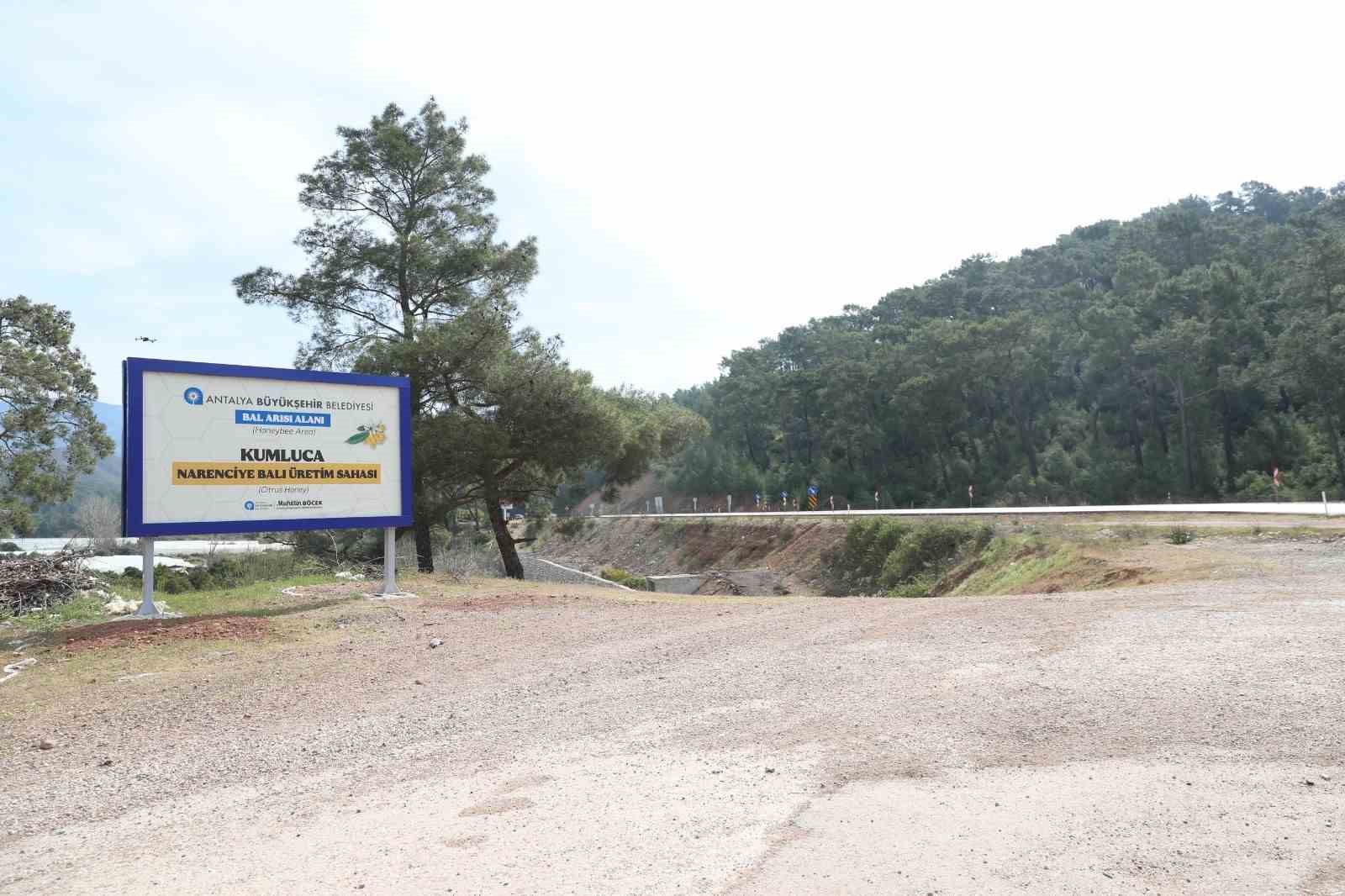 Antalya’da narenciye balı için coğrafi işaret tescil çalışması