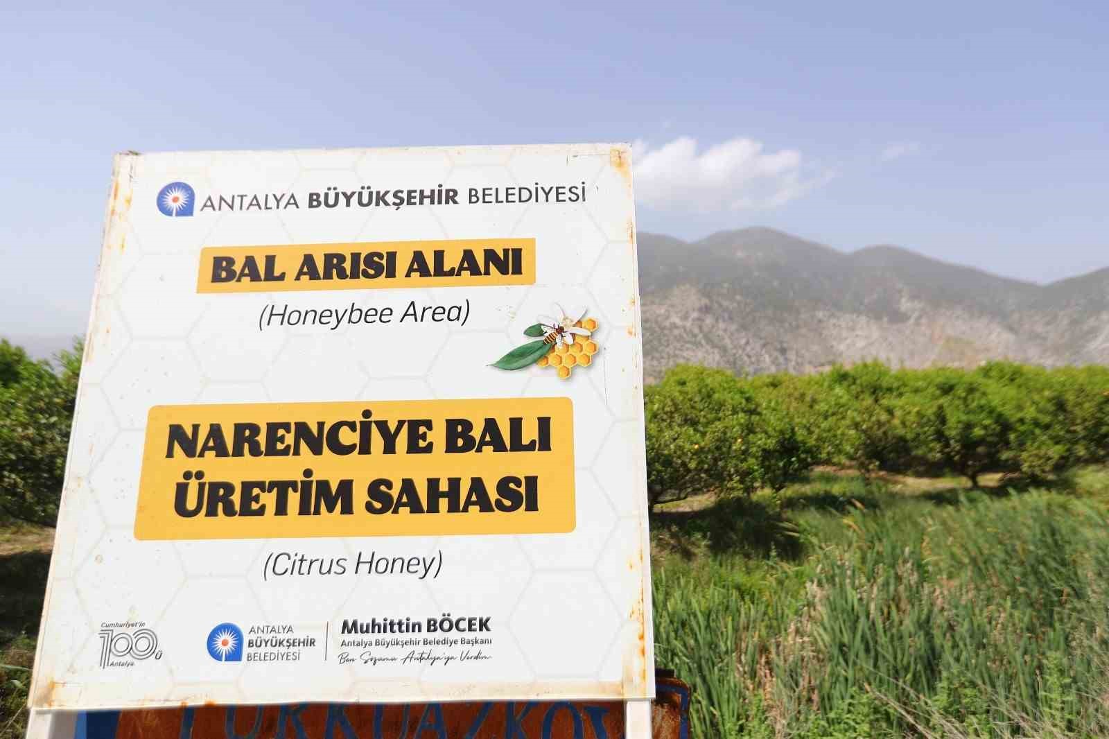 Antalya&rsquo;da narenciye balı i&ccedil;in coğrafi işaret tescil &ccedil;alışması
