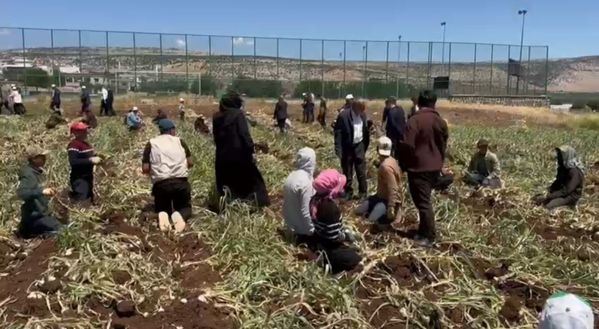 Yavuzeli’nde 14 Mayıs Dünya Çiftçiler Günü coşkuyla kutlandı
