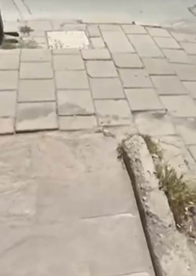 Yaşlı kadın kaldırımda d&uuml;ş&uuml;p kafasını vurdu, vatandaş Buca Belediyesine isyan etti
