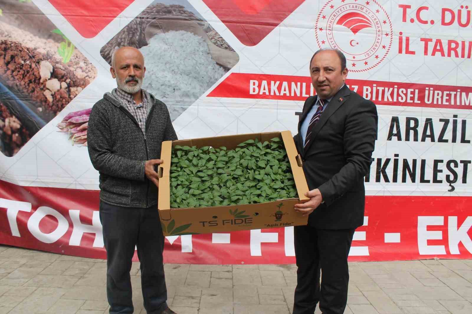 Atıl tarım arazilerinde sebze yetişecek

