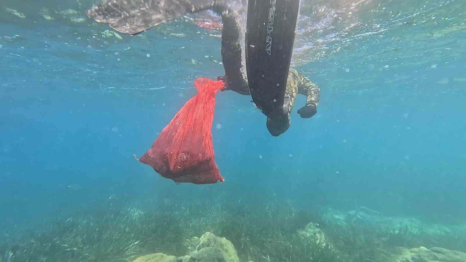 Bodrum’da deniz dibi temizliği başladı