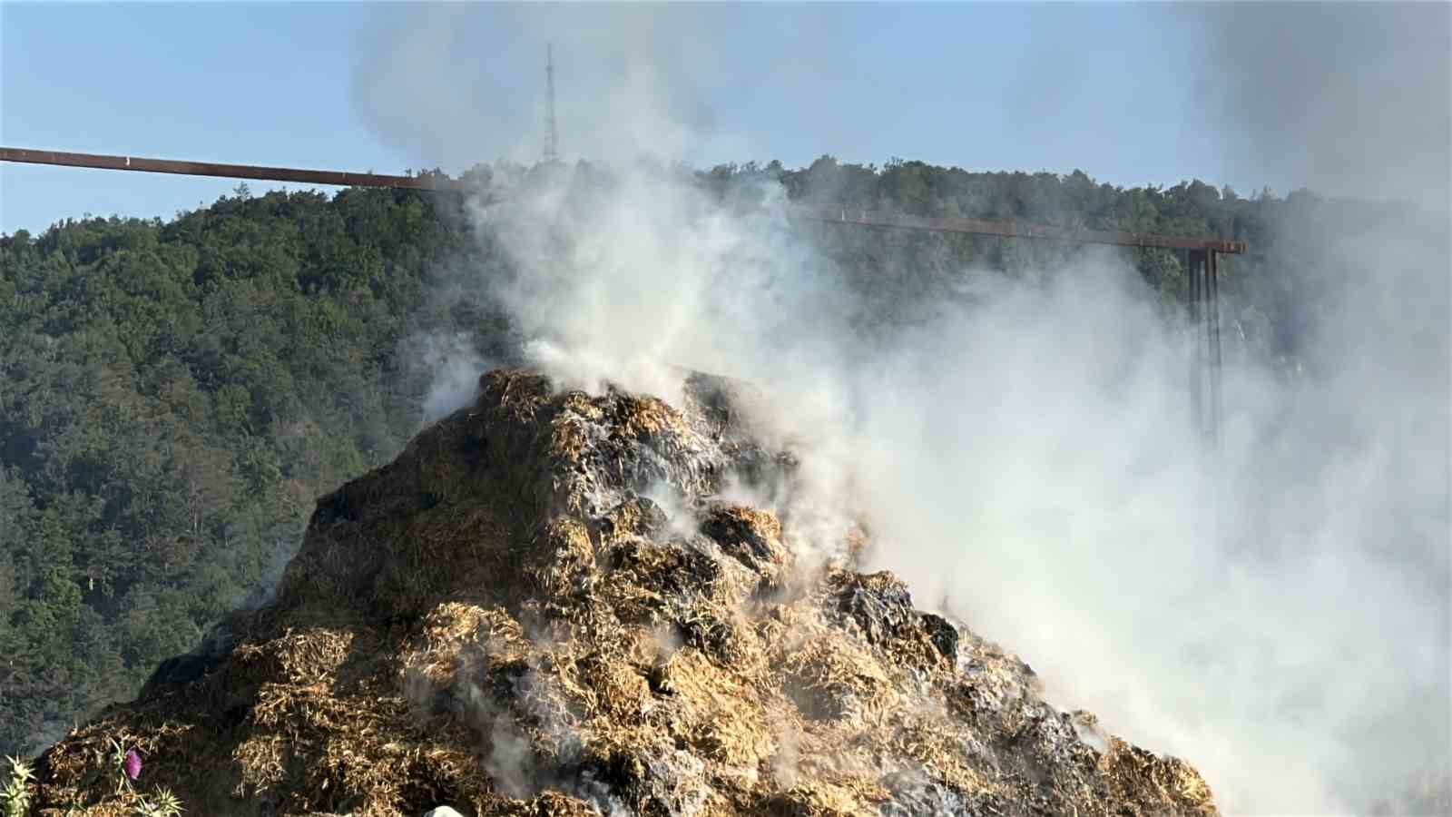 Arnavutk&ouml;y&rsquo;de ahırların yanına istiflenmiş saman balyaları alev alev yandı

