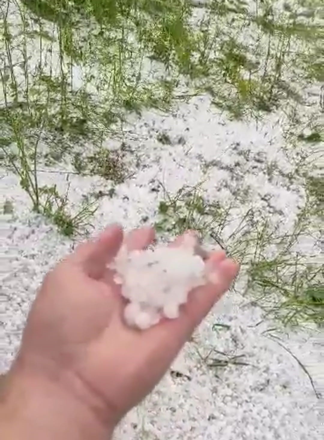 Osmaniye’de dolu yağışı etkili oldu