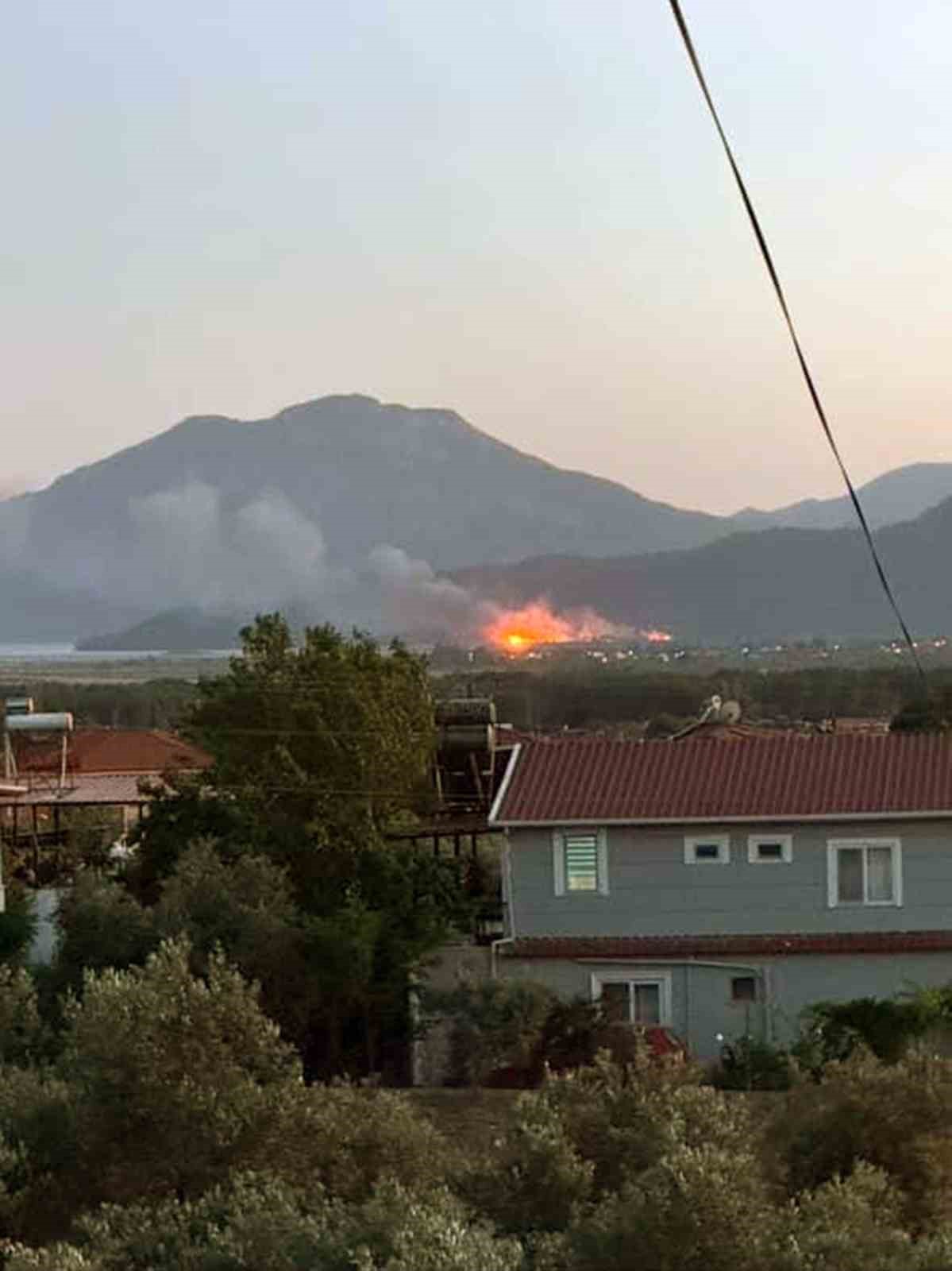 Köyceğiz’de sazlık alanda yangın çıktı