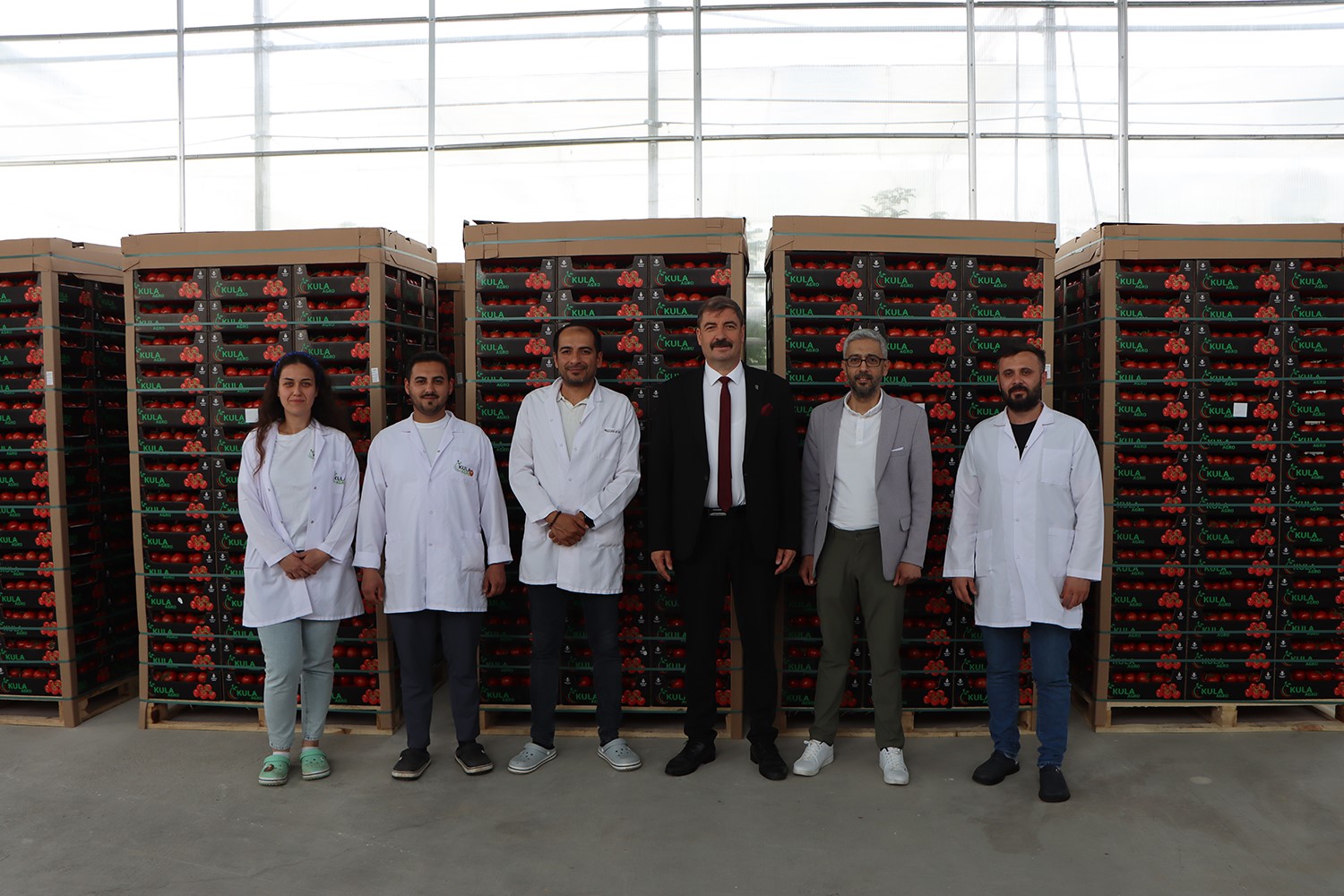 Kula&rsquo;nın jeotermal serasından Avrupa&rsquo;ya 500 ton domates ihracatı
